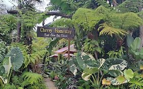 Cherry Homestay & Coffee